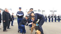 Djembé, chien gendarme médaillé
