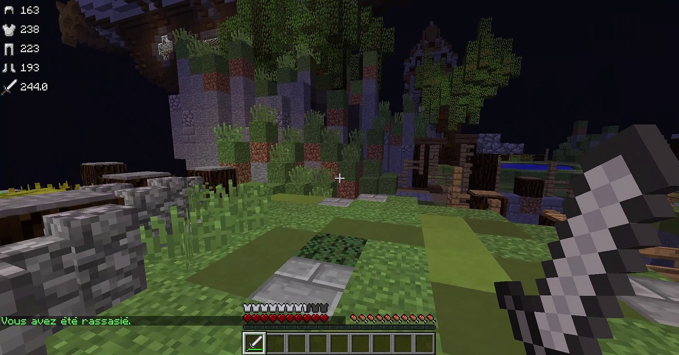TheFunnyPvP en plein fly