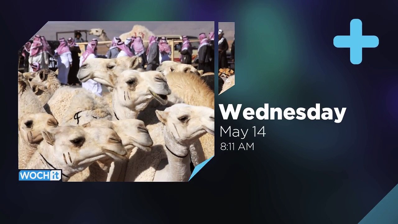 MERS, SARS, And Other Diseases We've Acquired From Animals