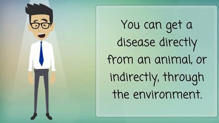 Animal Diseases and Your Health - What You Need To Know