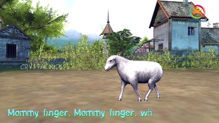 Lion attacks Finger Family nursery children 3d kids english rhymes Collection