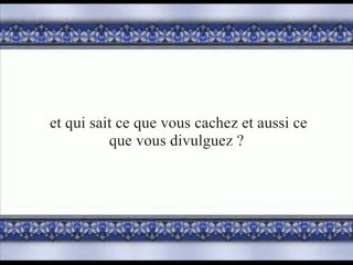 027 An Naml(les fourmis)[1]