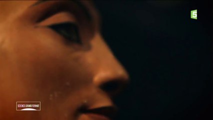 Le buste de Néfertiti