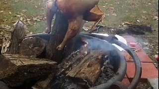 Turkey Cooking | Traditional Way