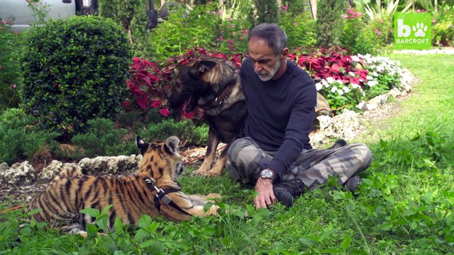 Doggy Day Care: Igor The Dog Adopts Baby Animals