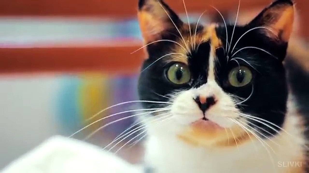 10 lucri pe care ți-ai fi dorit să le cunoști mai devreme, lucruri care îți vor face viața mult mai ușoară.