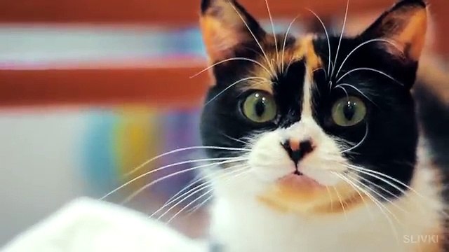 10 lucri pe care ți-ai fi dorit să le cunoști mai devreme, lucruri care îți vor face viața mult mai ușoară.