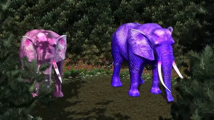 Colors Spiderman Epic Dance For Kids | 3D Monster Truck Epic Boats Spiderman Dance Video Compilation