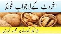 Akhrot Ke Fawaid Health Benefits Of Walnuts in Urduاخروٹ کے فائدے