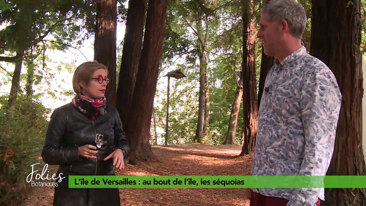 Folies Botaniques au jardin de l'île de Versailles #4