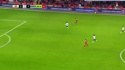 Goal - Galatasaray 3-1 Bursaspor 25.11.2016
