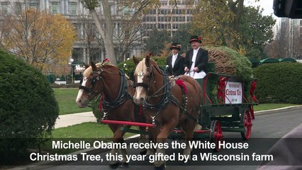 Michelle Obama receives White House Christmas Tree