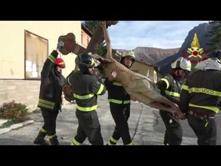 Ussita - Terremoto. Chiesa della Pieve (24.11.16)