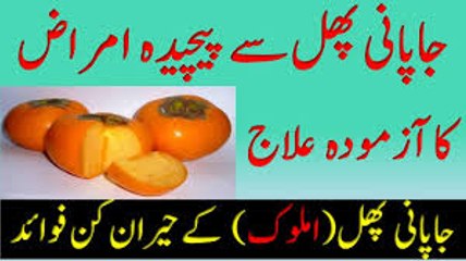 Amlok Japani phal Persimmon health benefits in urduجاپانی پھل سے پیچیدہ امراض کا حیرت انگیز علاج