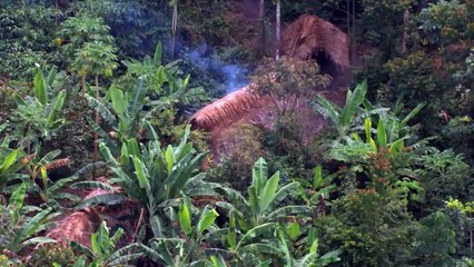Uncontacted Amazon Tribe First ever aerial footage