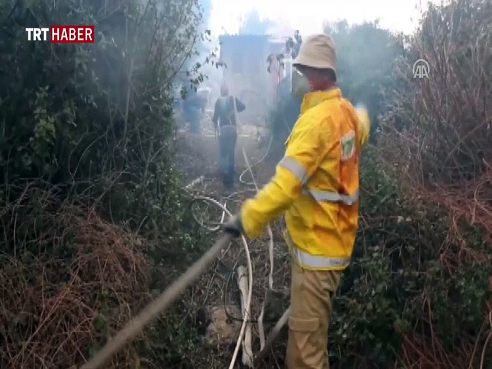 İsrail'de çıkan yangınları söndürme çalışmaları devam ediyor