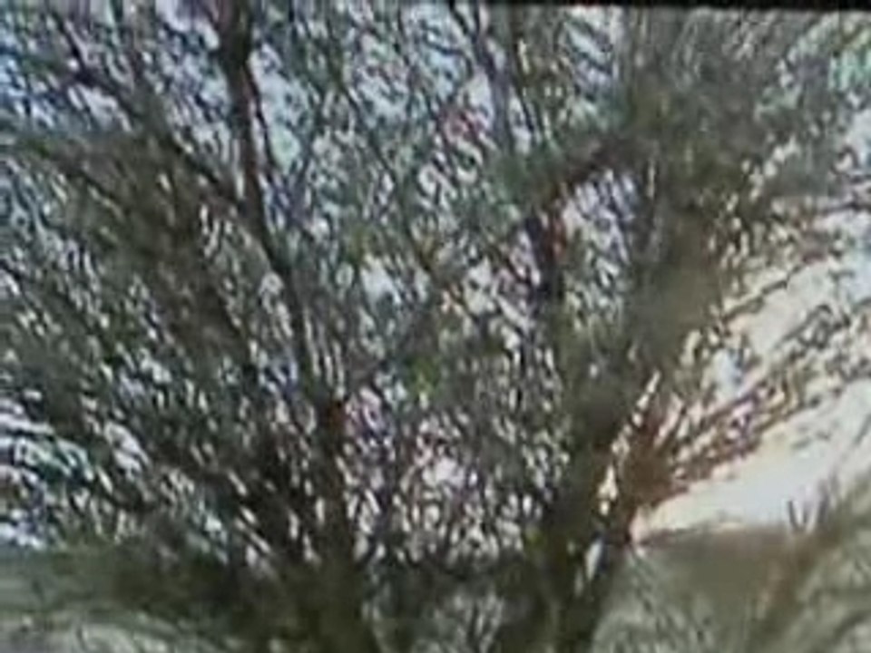 BOUHEDMA 1