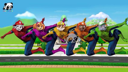 #Paw Patrol #Spiderman #Finger Family Songs #Nursery Rhymes Lyric & More Panda Kids