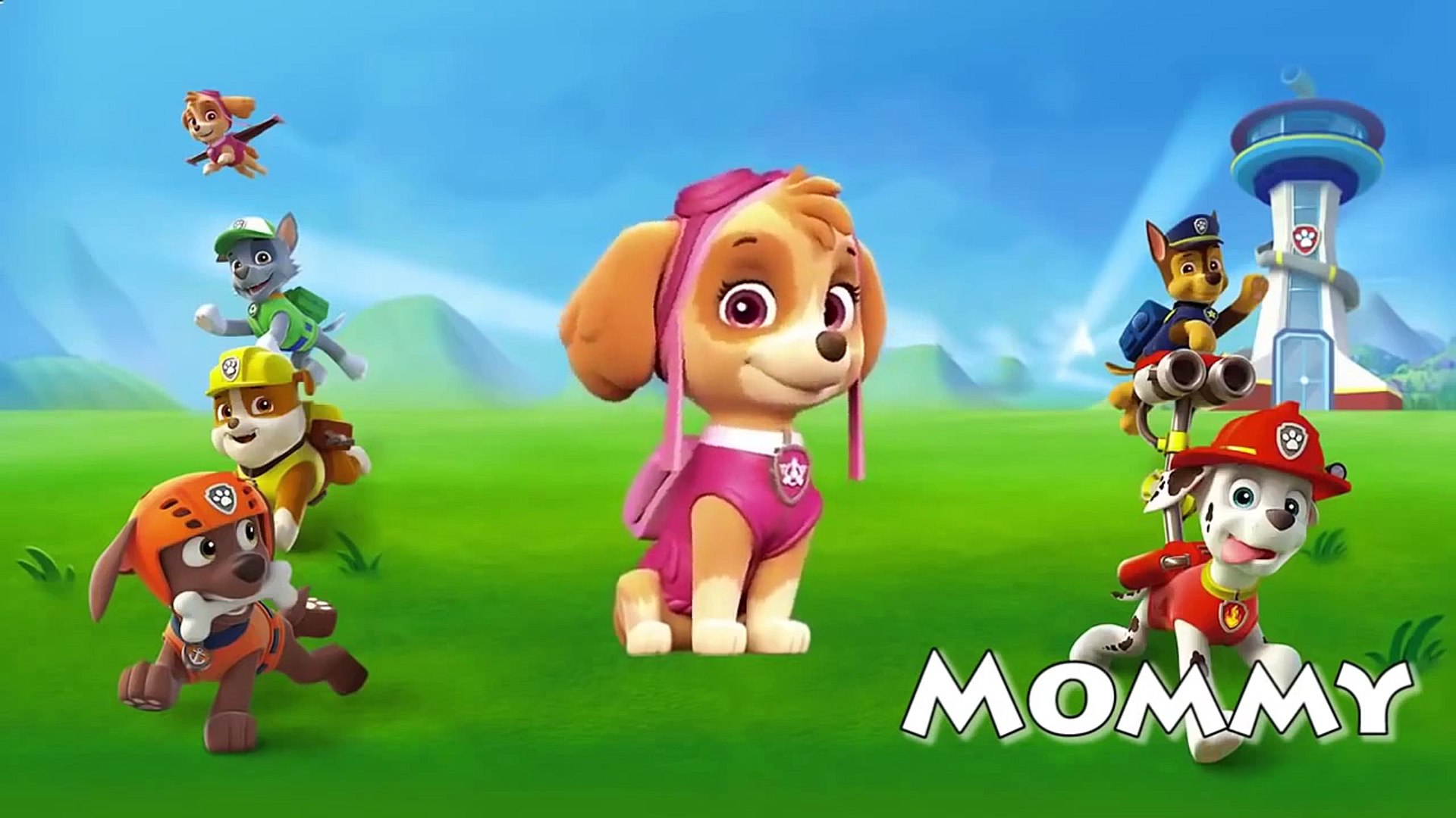 ⁣Paw Patrol Cartoon Daddy Finger Family Songs