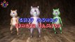 Chipmunks Finger Family Rhymes | Kiddy Cartoon Animal Finger Family Songs for Children