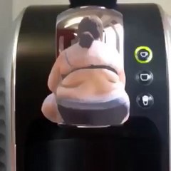 Funny Videos (@funny_videos) • Instagram photos and videos_7