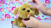 Snuggles My Dream Puppy Little Live Pets Review Silly Play Lego Friends Girls Newest Pet - Kids Toys-NbL4LJHvU2Q