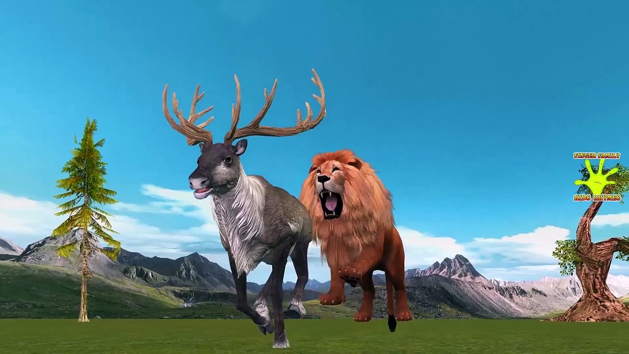 Lion Attacking Deer | Lion Vs Python Snake Real Fight Kids Videos | Animals Fighting Videos For Kids