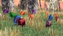 Dinosaur VS Dinosaur fight 3D short film | Learning Animals Sounds 3D Animation For Childrens