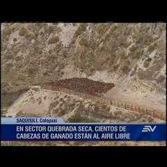 Televistazo 20h00 25-11-2016