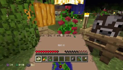 マインクラフトいろいろするよ (35)