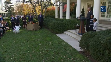 President Obama Pardons the National Thanksgiving | USA