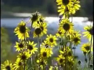 Main yesu ke noor mein Masihi Geet