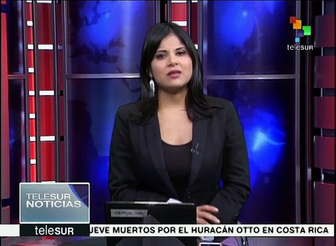 Ecuador: liberan ejemplares de cóndor nacidos en cautiverio