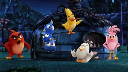 5 Little Angry Birds Jumping On the Bed Compilation Finger Family