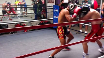 Most Brutal & Secret Boxing Sparring Wars Pt2