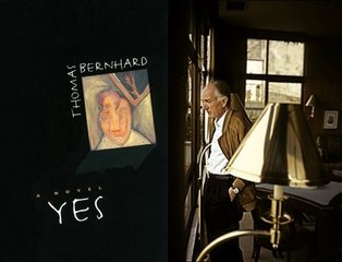 Novels Plot Summary 218: Yes