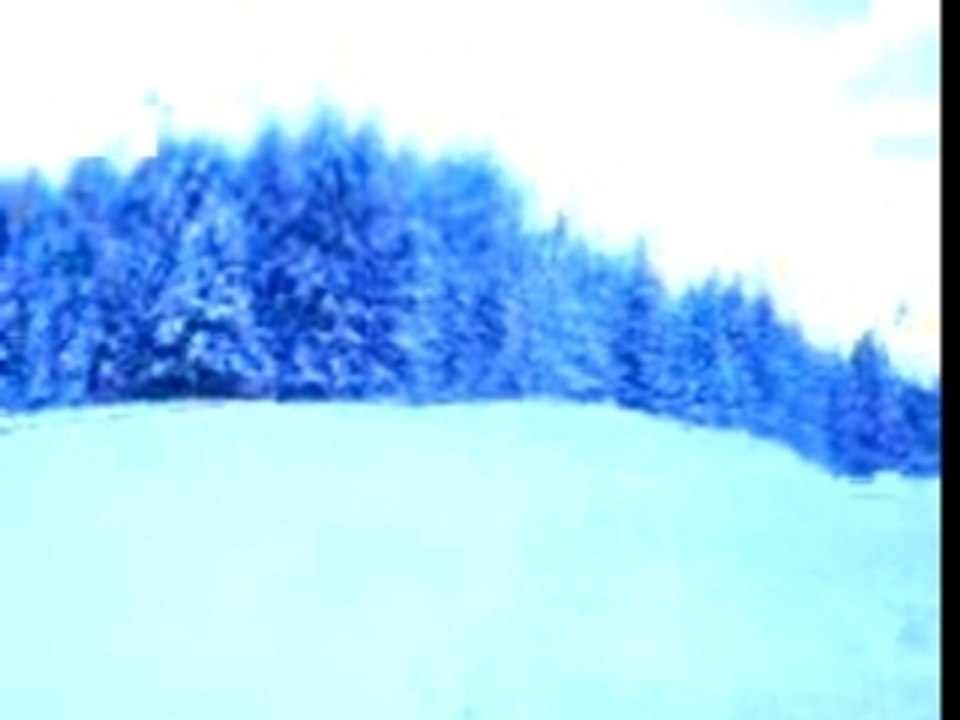 MOV00006