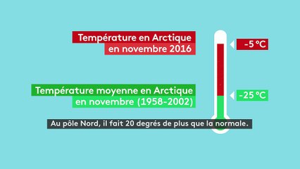 En Arctique, des températures exceptionnellement douces et une banquise réduite à son minimum