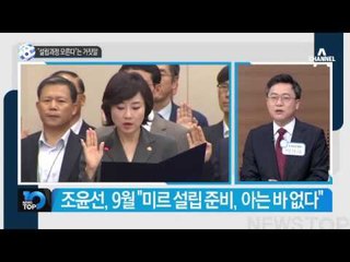 문체부 간부들 국감서 미르재단 집단 위증_채널A_뉴스TOP10