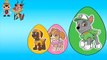 New Marshall Paw Patrol Skye Rocky | Kids Eggs Teaching Sizes From Smallest To Biggest #Animation
