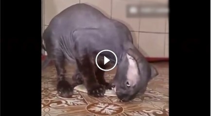 OMG whats a shocking creature in this world