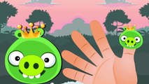Angry Birds Bad Piggies Finger Family | Finger Family Rhymes for Children