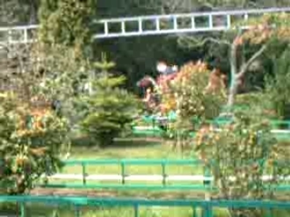 A chevau au parc!