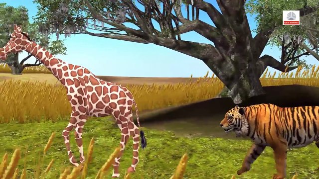 Wild Animals Finger Family Songs | Animals Finger Family Nursery Rhymes | Fun Learning Videos