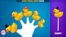 The Finger Family Duck Family Nursery Rhyme | Duck Finger Family Songs