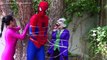 Frozen Elsa, Spiderman & Hulk, Elsas face changes colors w/Catwoman, Joker, pink