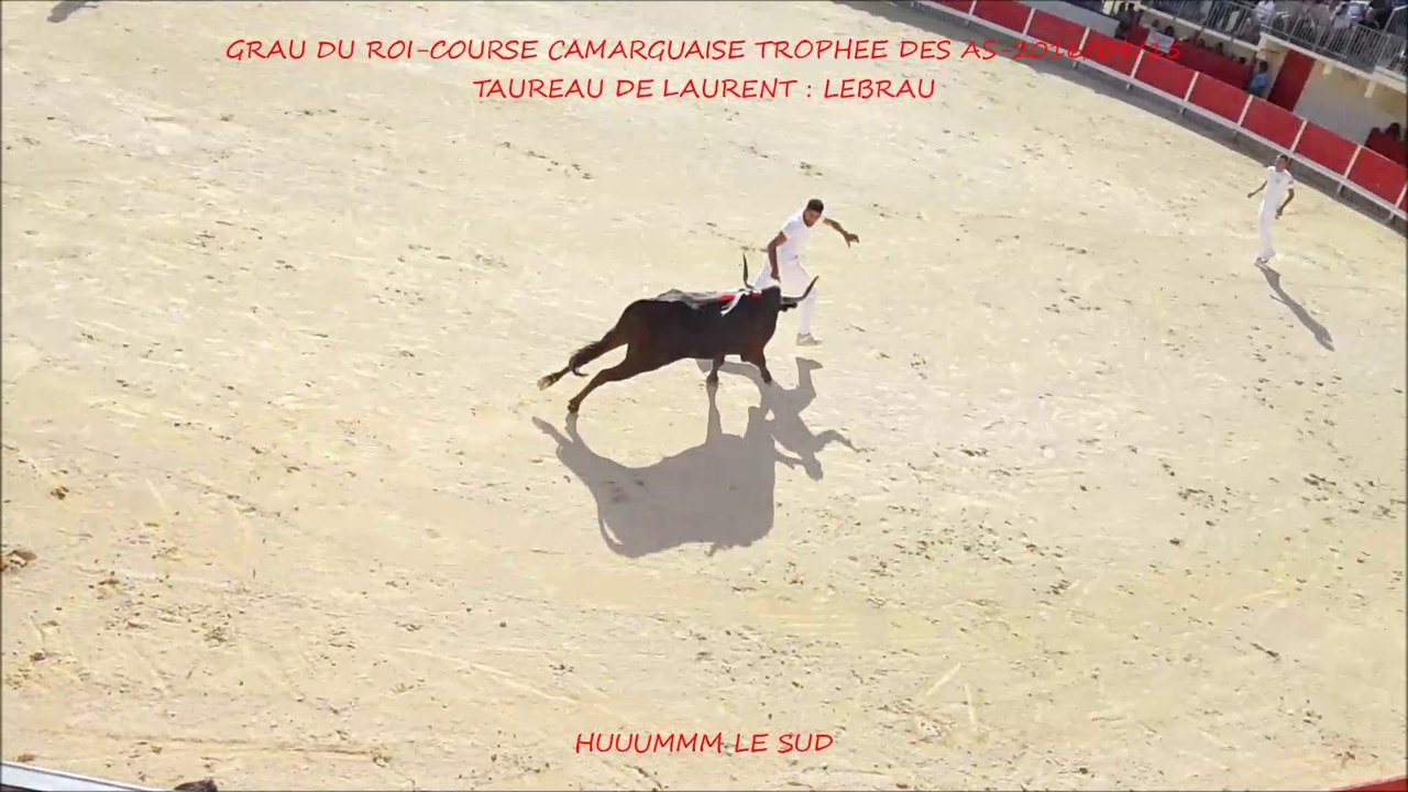 GRAU DU ROI-Raseteur CADENAS accroché-Taureau LEBRAU de LAURENT-COURSE CAMARGUAISE-AS-2016/09/15