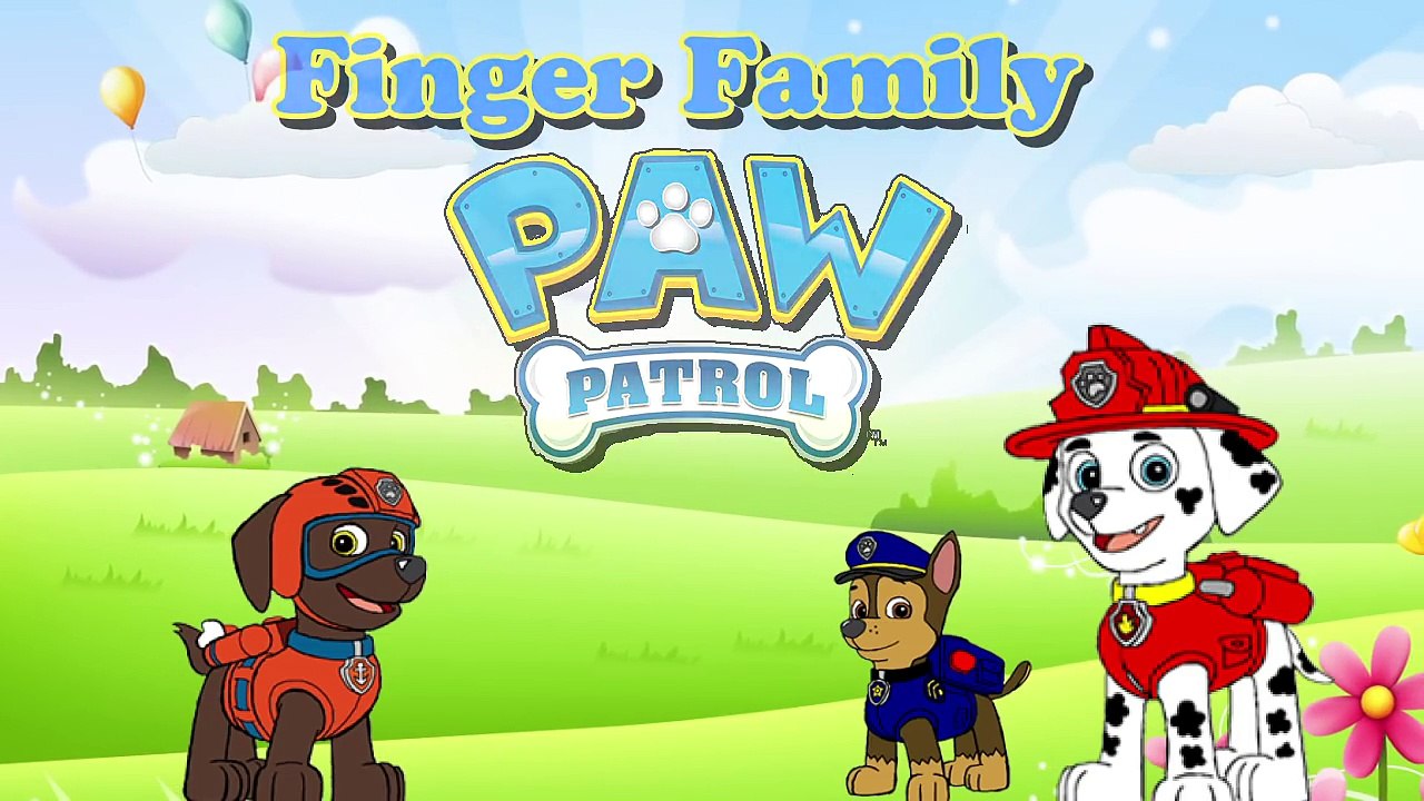 PAW PATROL Finger Family Collection - Nursery Rhymes Paw Patrol