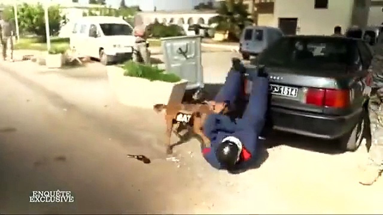 قناة M6 الفرنسية تواكب تدريبات الفوج الوطني لمجابهة الارهابوتقول انها تظاهي أعتى الفرق العالمية (فيديو)