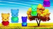 Teddy Bear Teddy Bear turn around Nursery Rhyme - Animation English Nursery rhymes for children